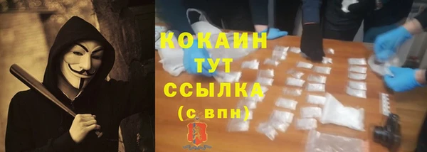гидра Алексин
