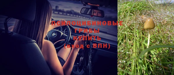 а пвп мука Алексеевка