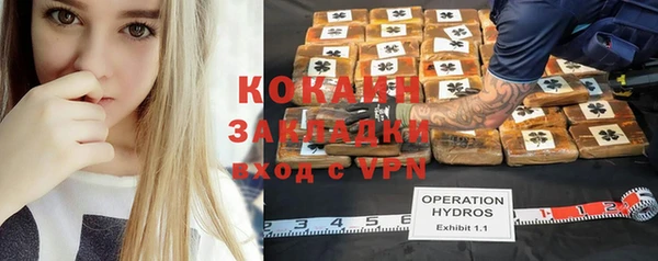 гидра Алексин