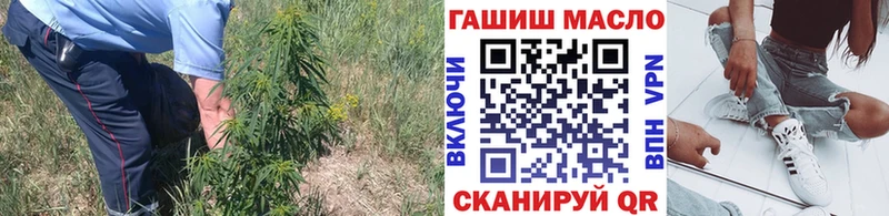 ТГК Wax Островной